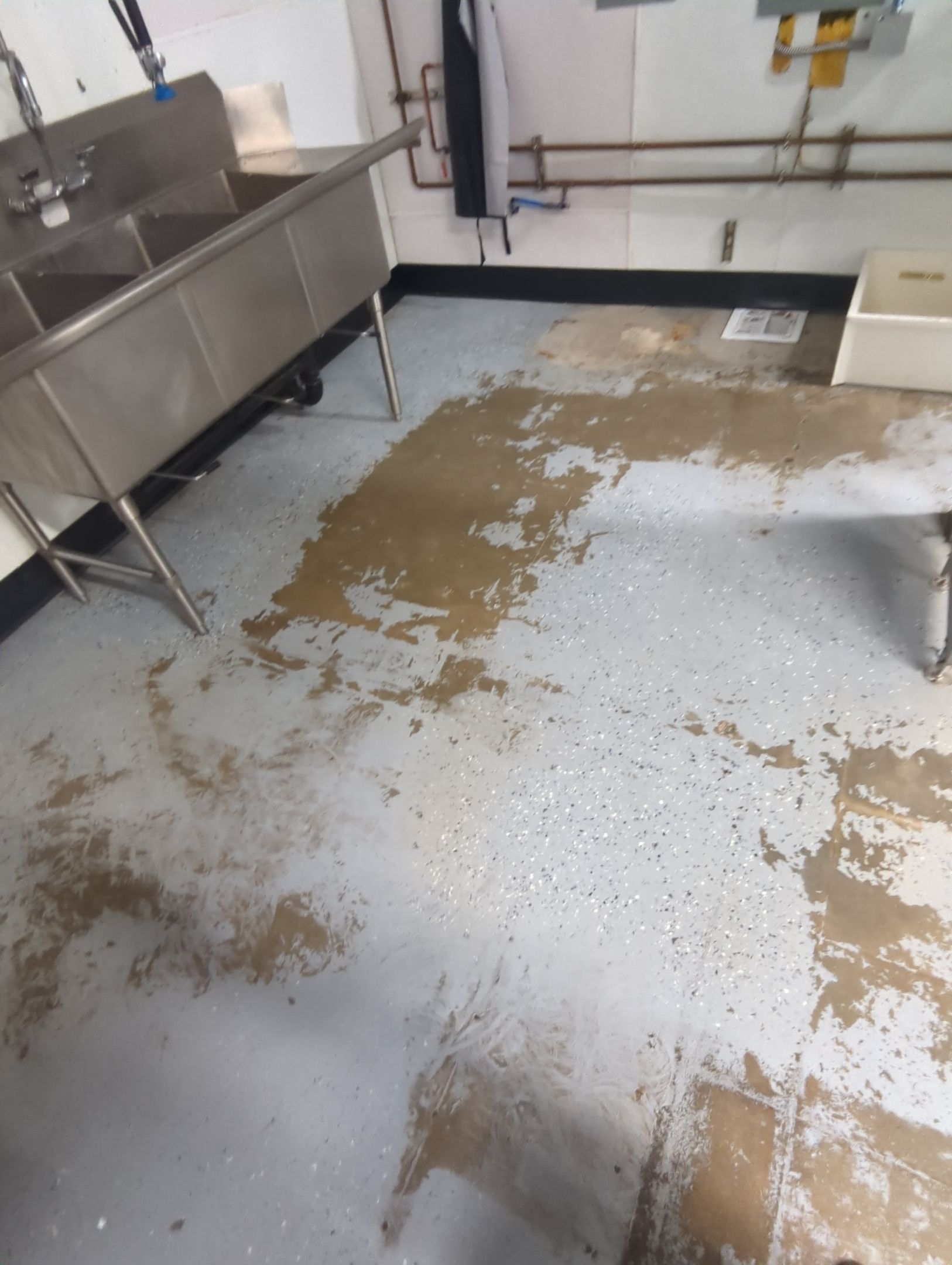 Commercial Kitchen Flooring using Slate Stone 1/8" by Croc Coatings, LLC