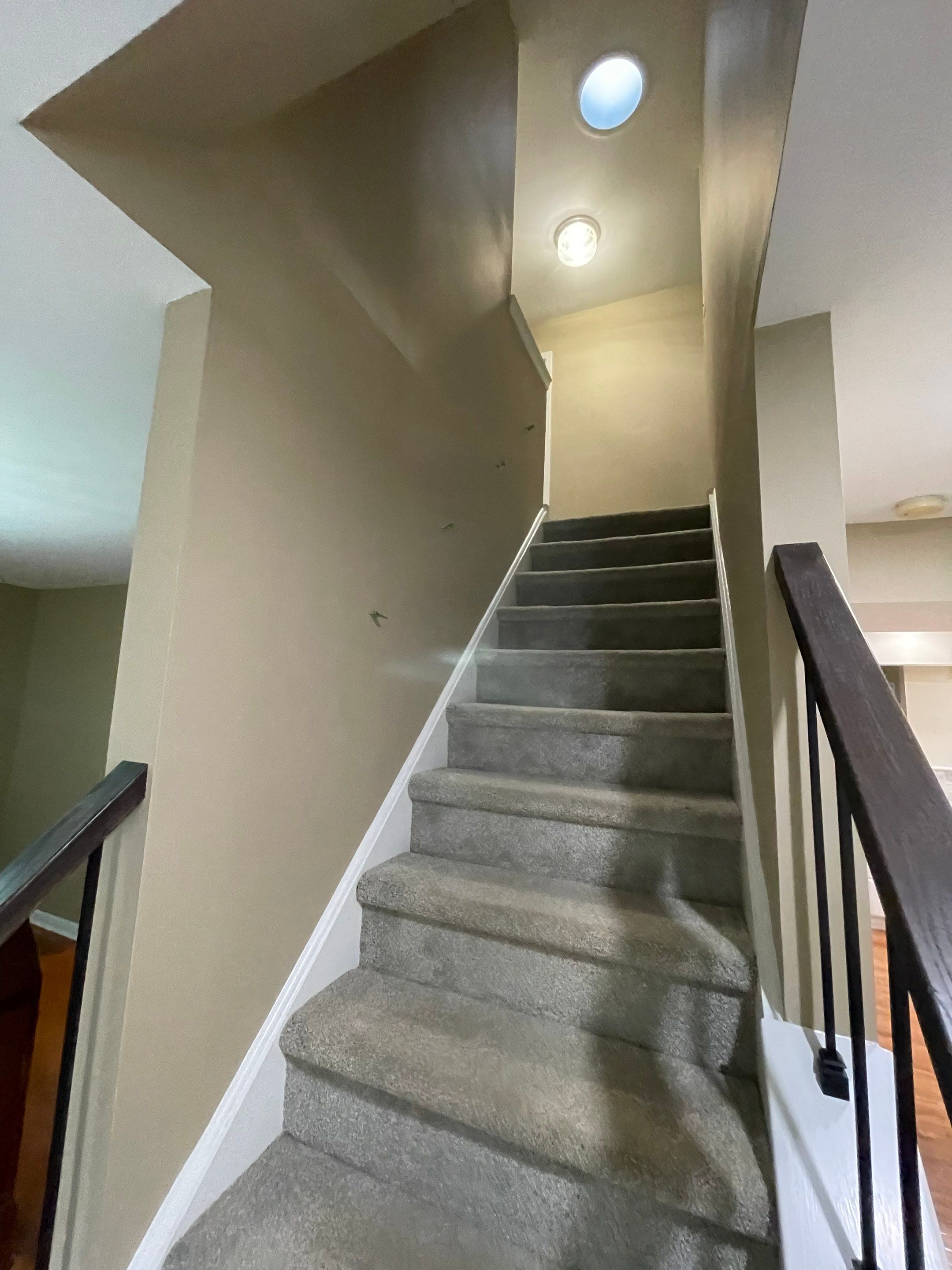 Whole-Home Interior Refresh in Newtown by Groovy Hues