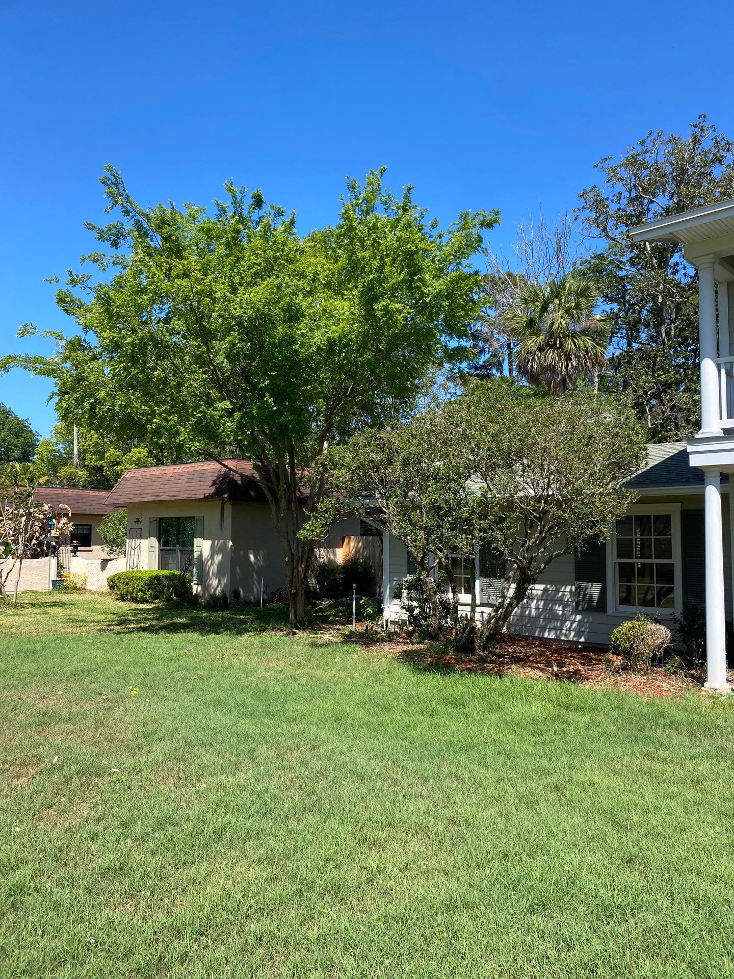 Residential | Tree Removal & Trimming by ProGreen Services