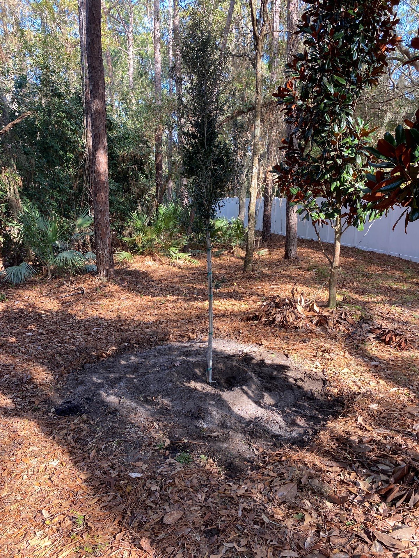 Deerwood Resident | Tree Installation by ProGreen Services