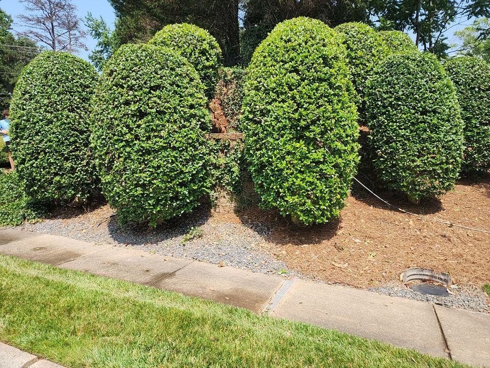 concrete Clean using cleaner by G&H Home Tech Pros LLC