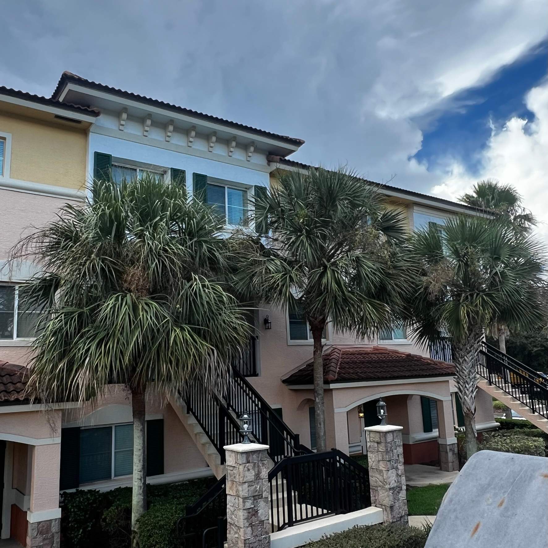 Palm Tree Trimming | IL Villagio Condominiums by ProGreen Services