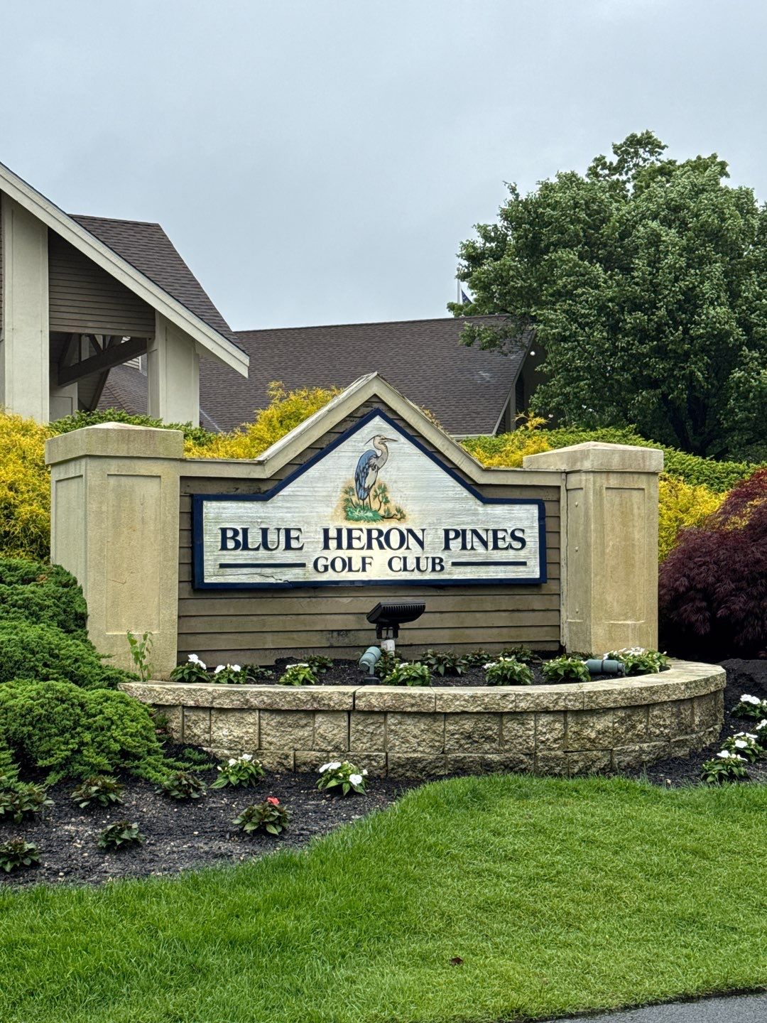 Commercial Cleaning using Building SoftWash & Pressure washing by SJ Exterior