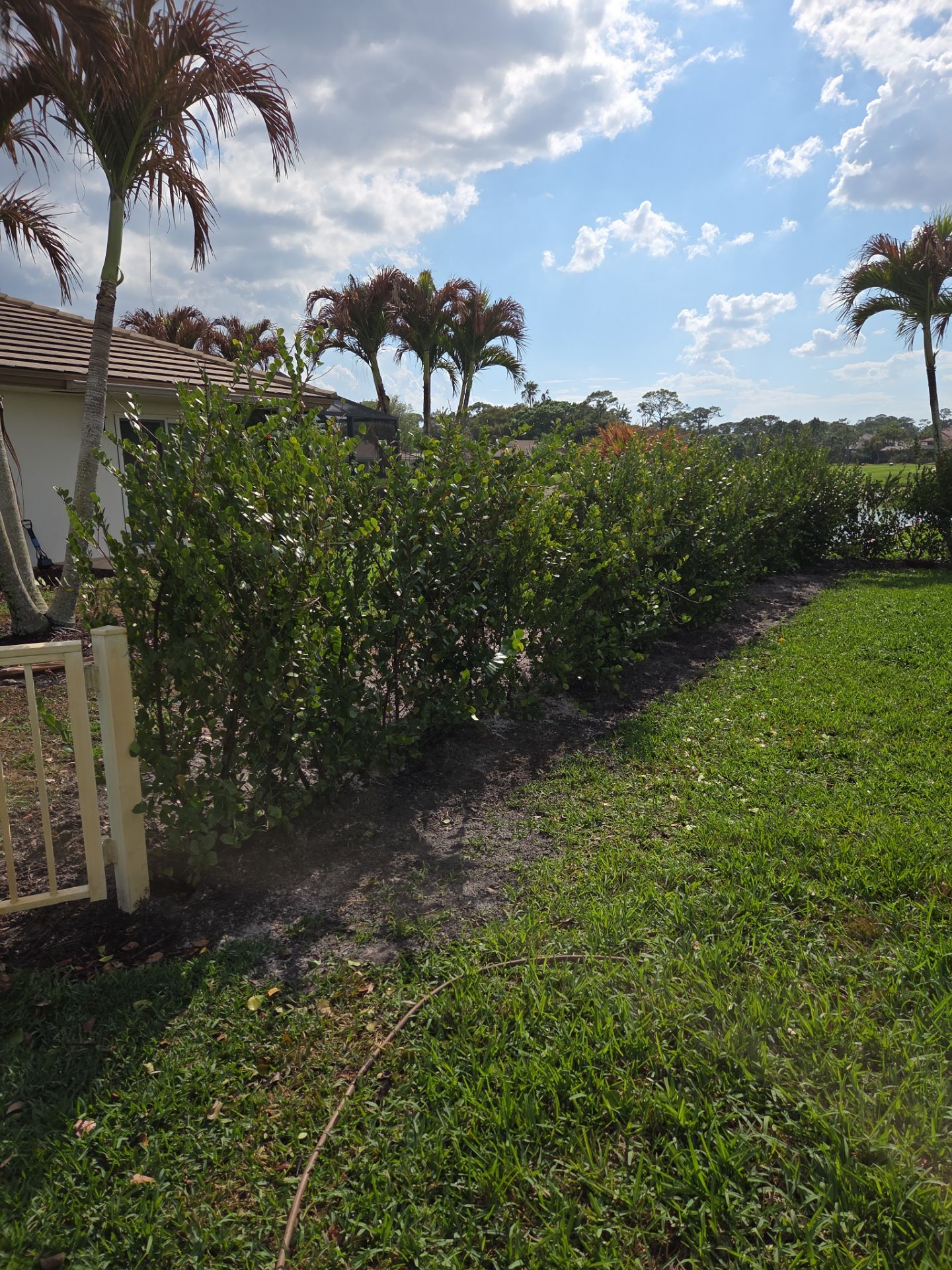 Pipers Landing Hedge Revival by Alpha Zeta Enterprises Inc