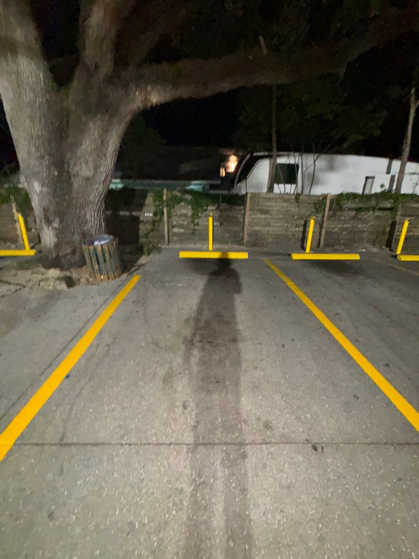Bollard Installation, Line Striping, & Parking Block Installation at La Primavera Supermarket  by Everline Coatings & Services - Southwest FL