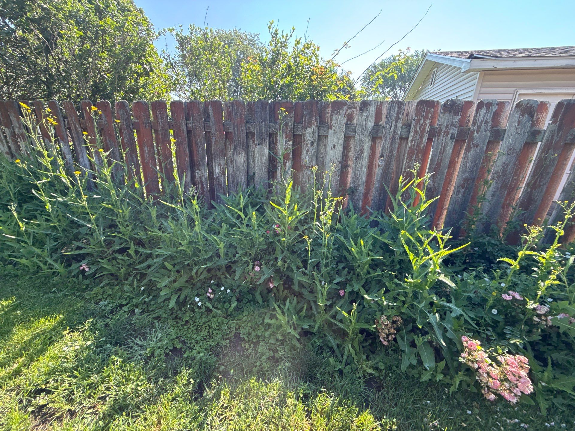 Rob M. - Arlington Heights, IL by A&N 