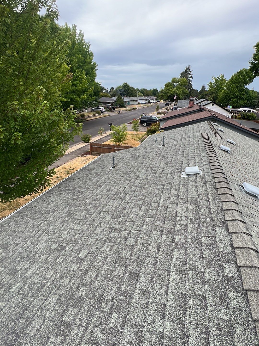Residential Roofing Installation using IKO Dynasty (Color: Frostone Grey) by Orezona Building & Roofing Company, Inc.