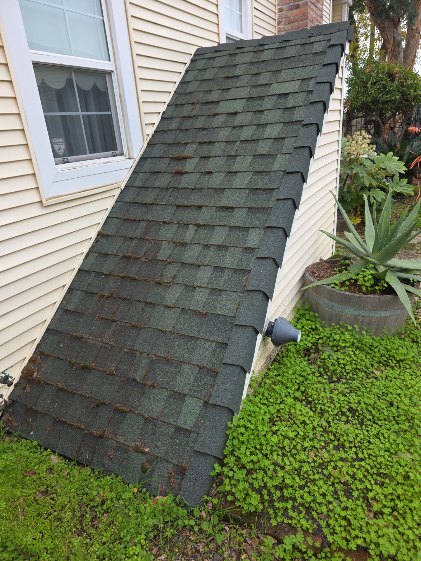 Roof Rejuvenation using Roof Maxx Treatment by Roof Maxx of Folsom