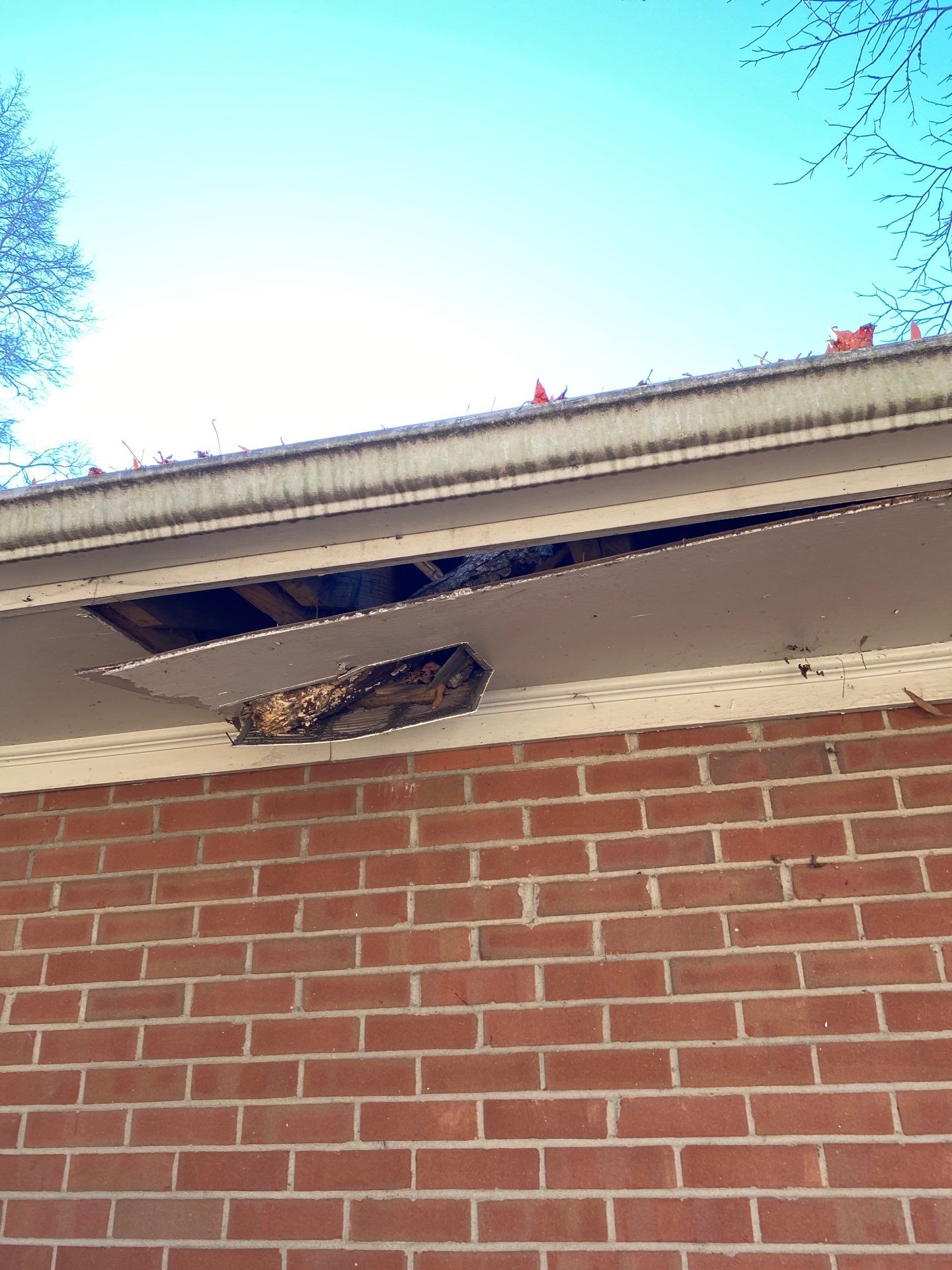 Roof replacement and interior repair by hail and wind damage by Just Brilliant Restoration JBR