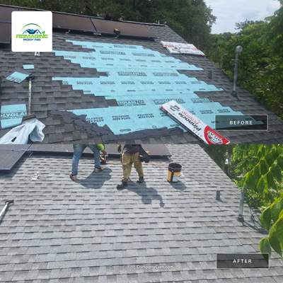Pewter Gray Shingles