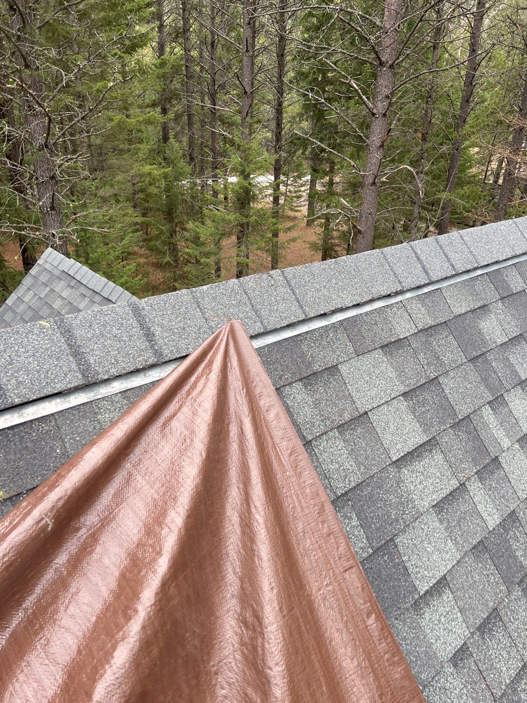 Green Snap Lock Standing Seam  by Montana Roofing Solutions