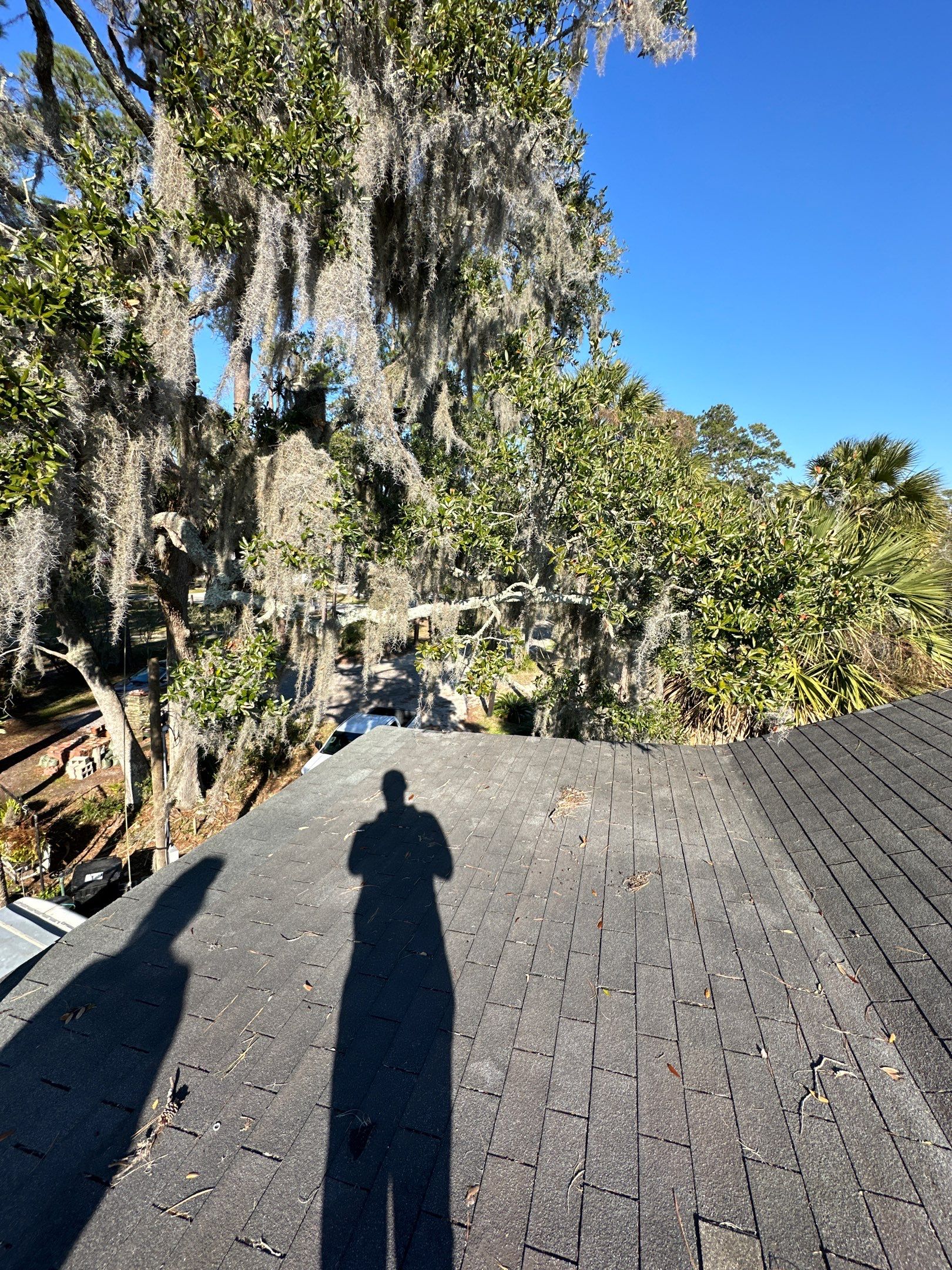 Roof Replacement using Atlas Pinnacle Sun - Cool Surf by Rainstoppers Roofing