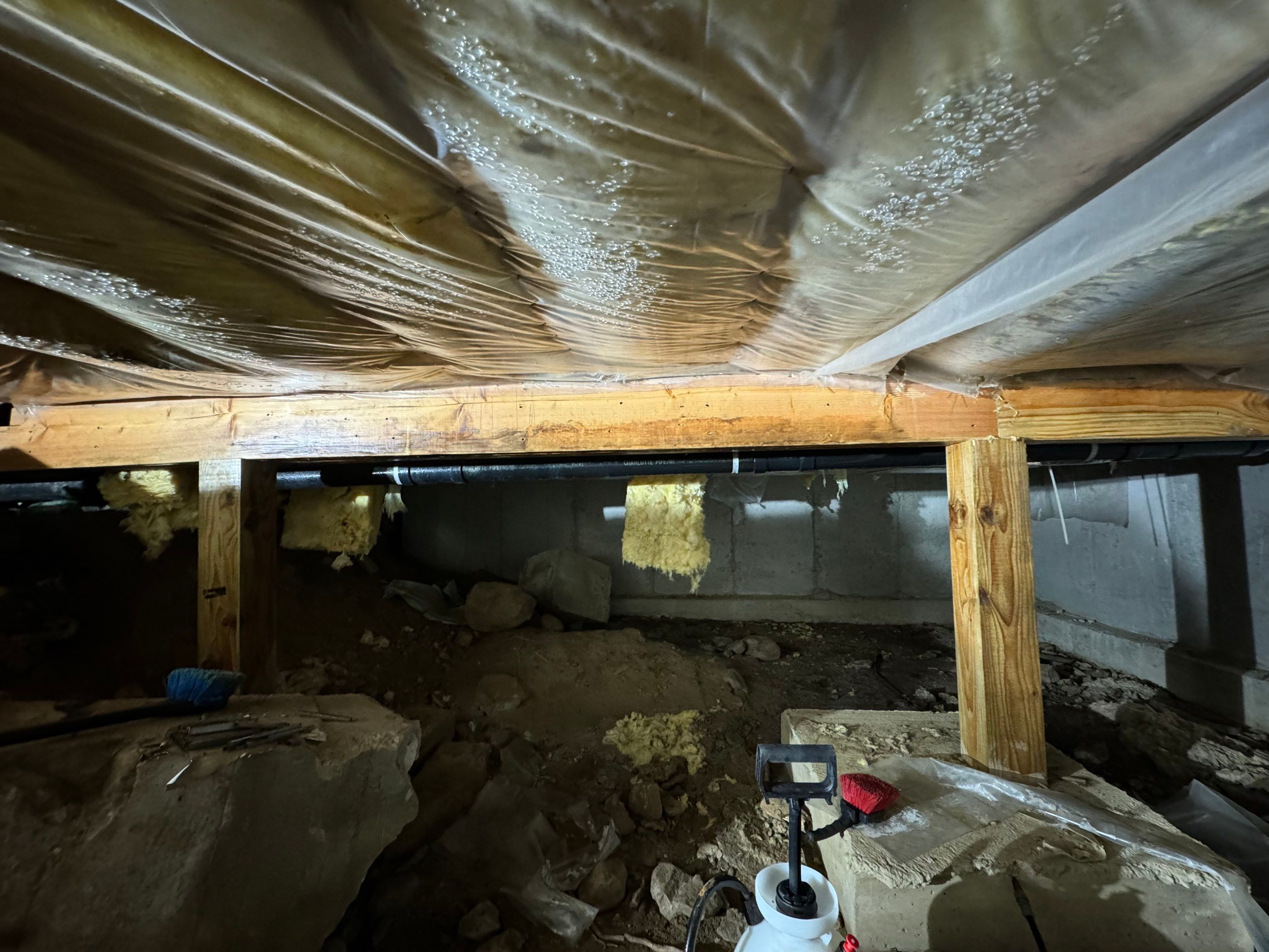 Mold Remediation (Basement) using Home Guarantee by Home Guarantee, LLC