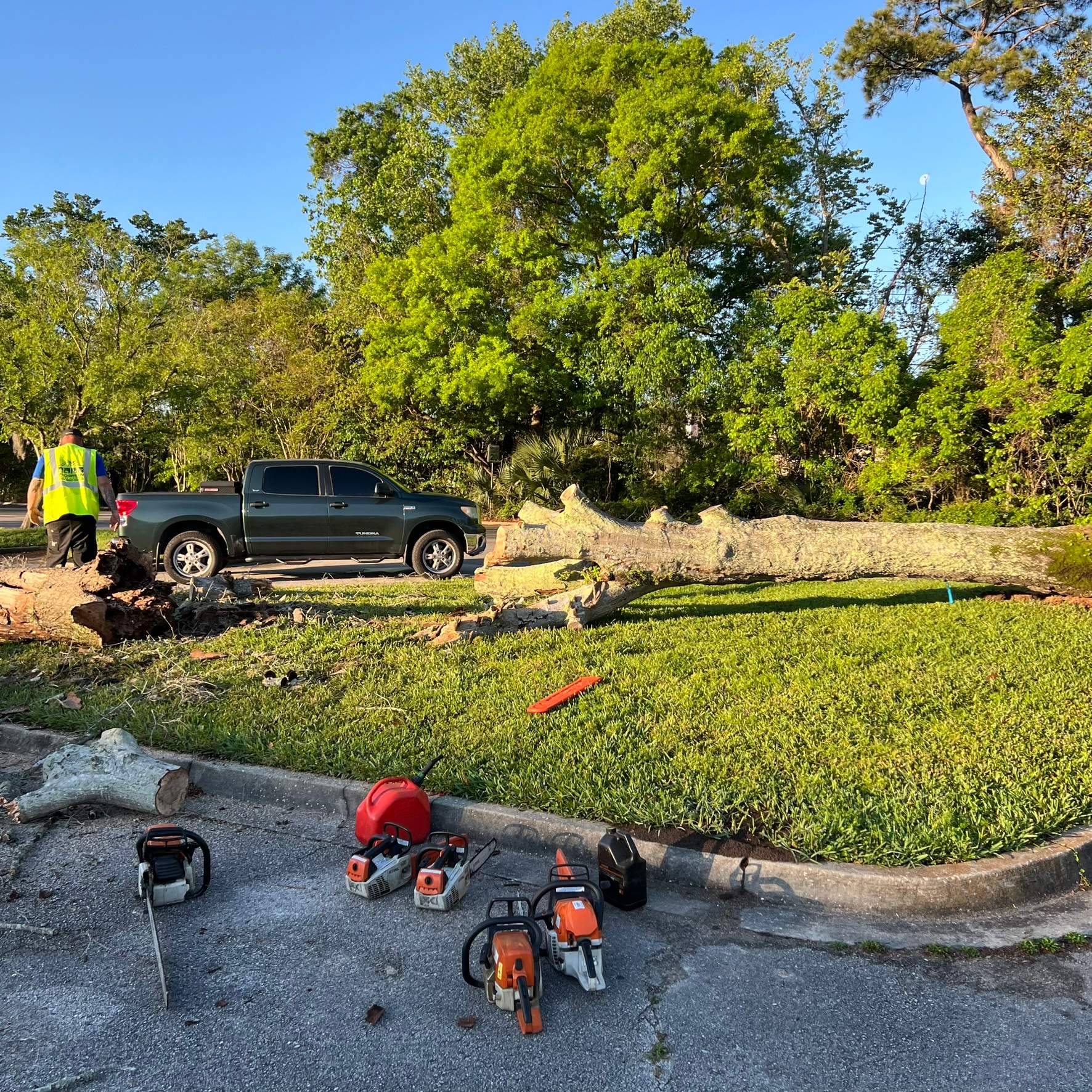 Tree Work | The Avenues Mall by ProGreen Services