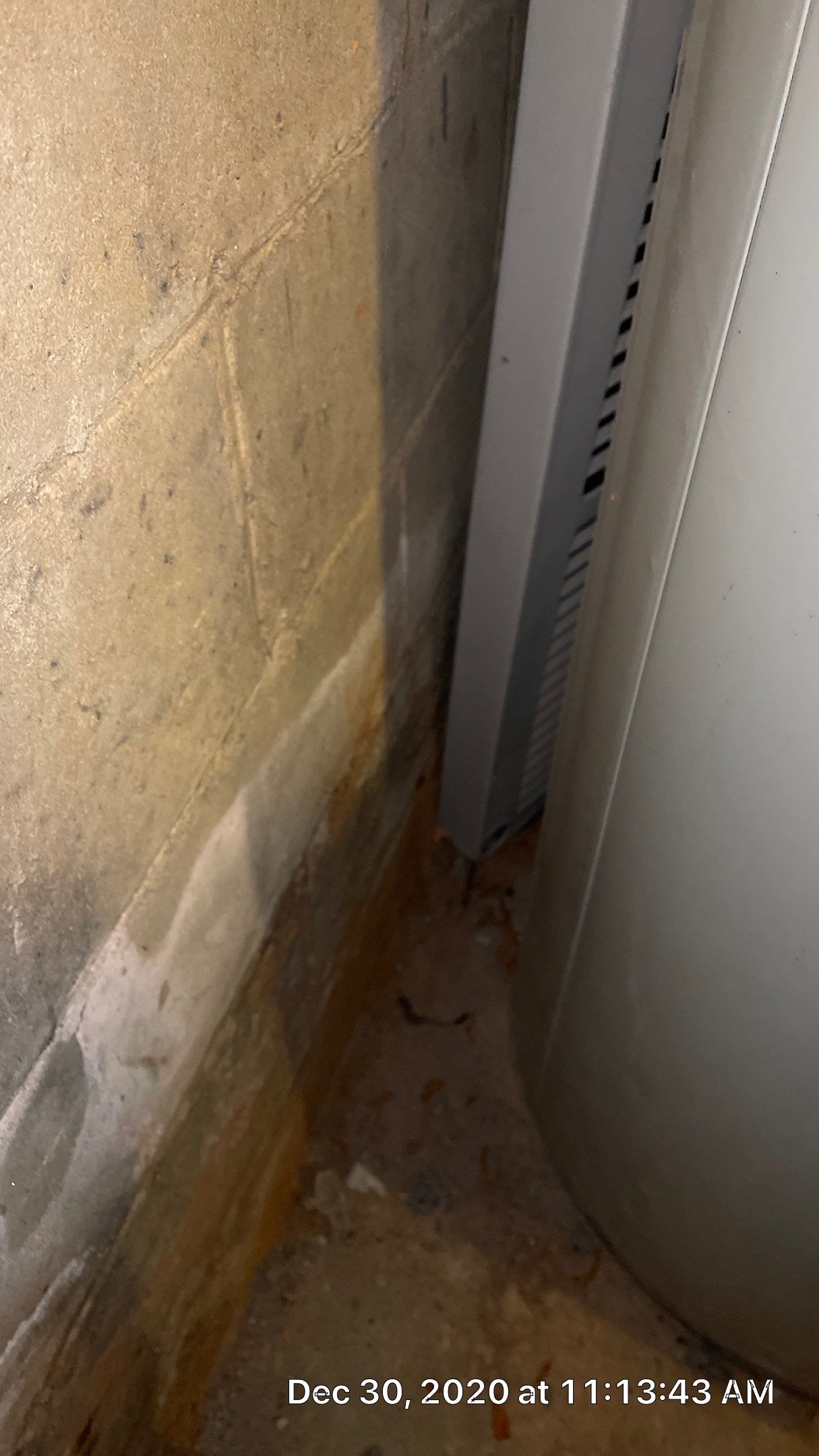 Interior French Drain Job in West Orange, NJ by Pure Service Pro, LLC 