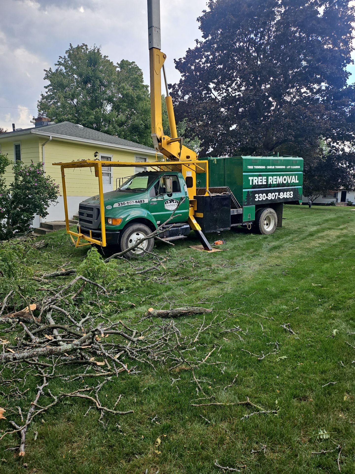 Tree Removal using Tree Removal by Mike Jones & Sons Tree Service LLC 