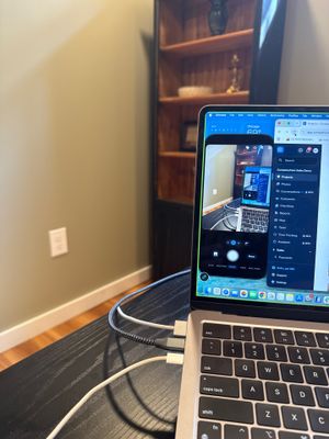 Lincoln Home Office Renovation With Sage Green Walls and Laminate Floors