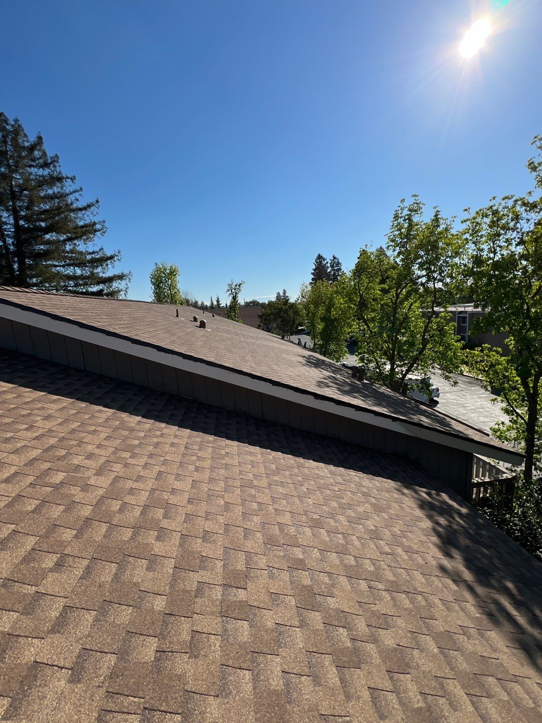 Removed tile from roof and replaced with shingles by Straight Edge Roofing Inc