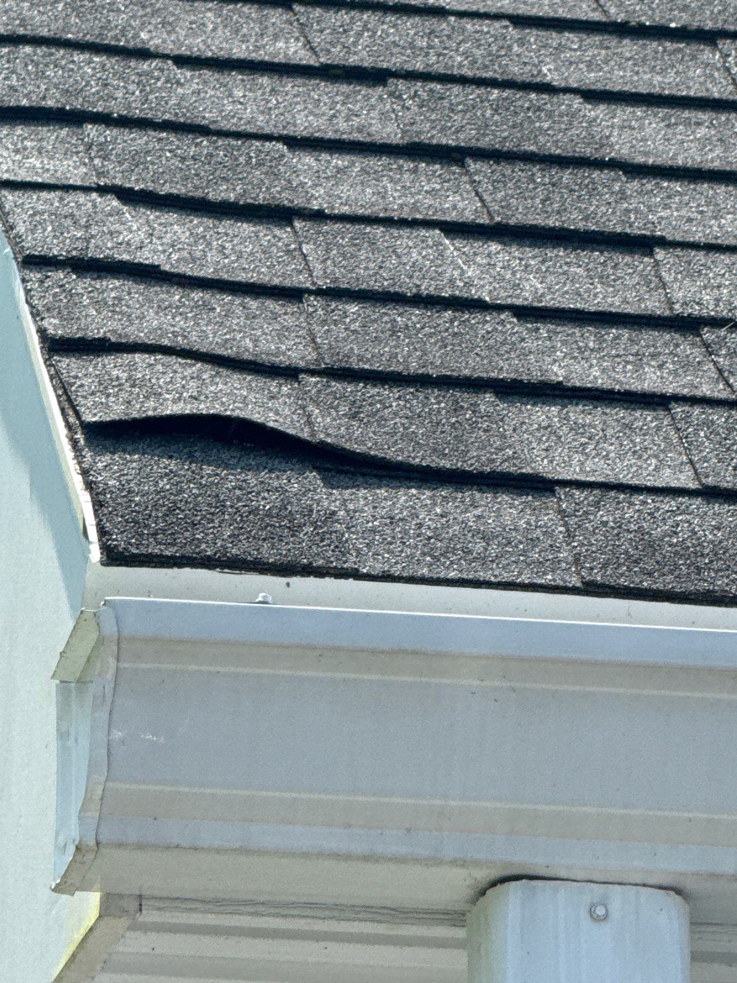 Project in Maidens by Roof Maxx of Midlothian