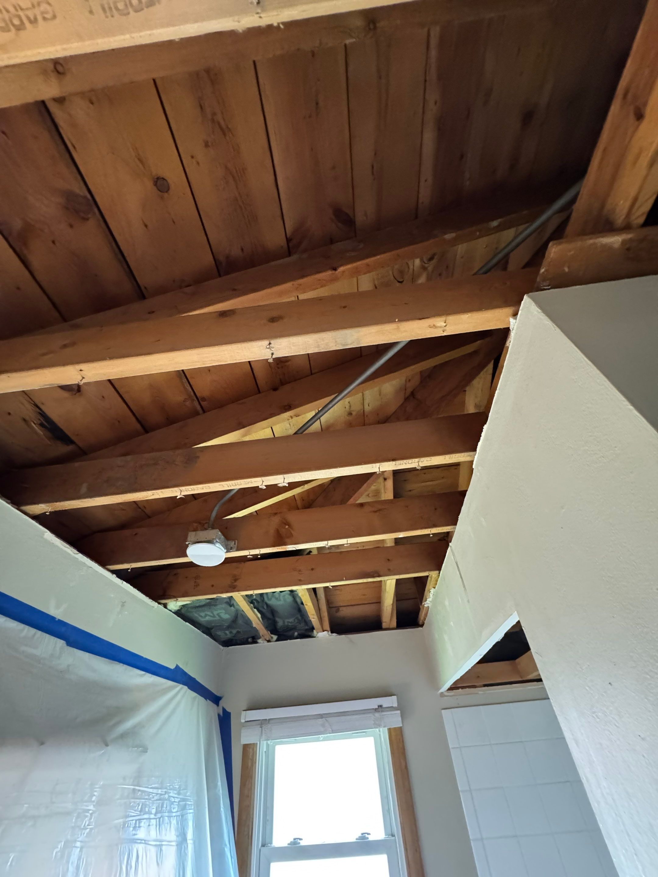 Bathroom Mold by Chicagoland Water Medics