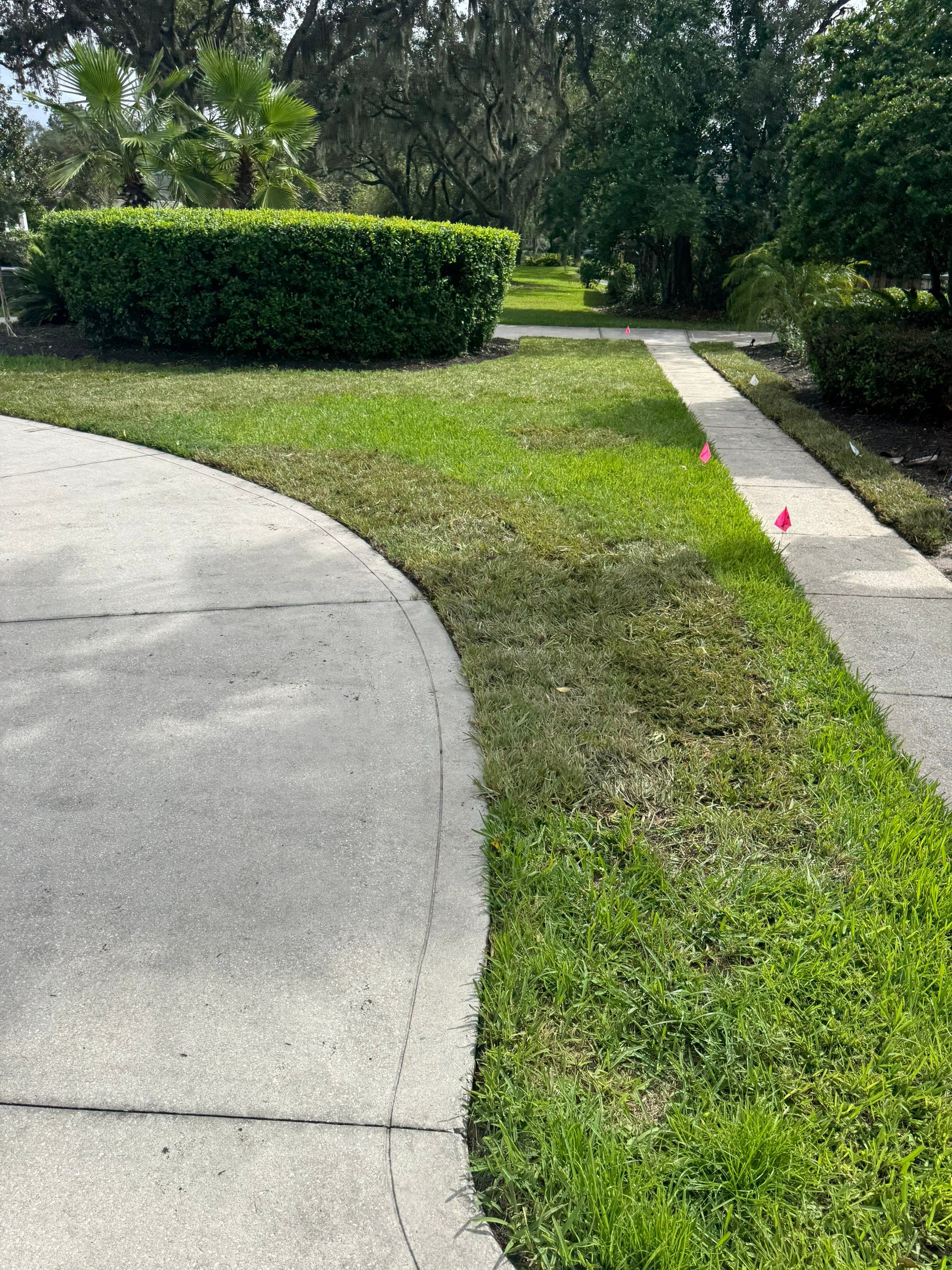Deerwood Resident | Sod Installation by ProGreen Services