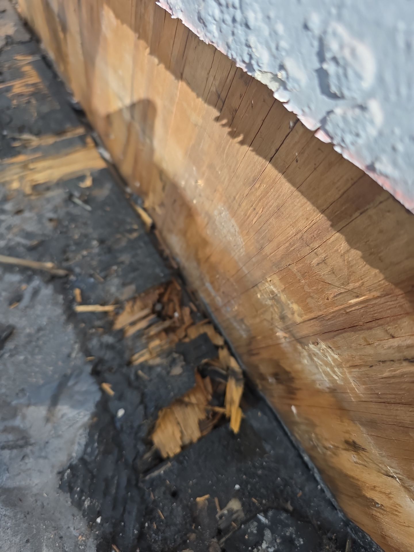 Roof Replacement in Riverview, FL. by Shingle Masters Roofing