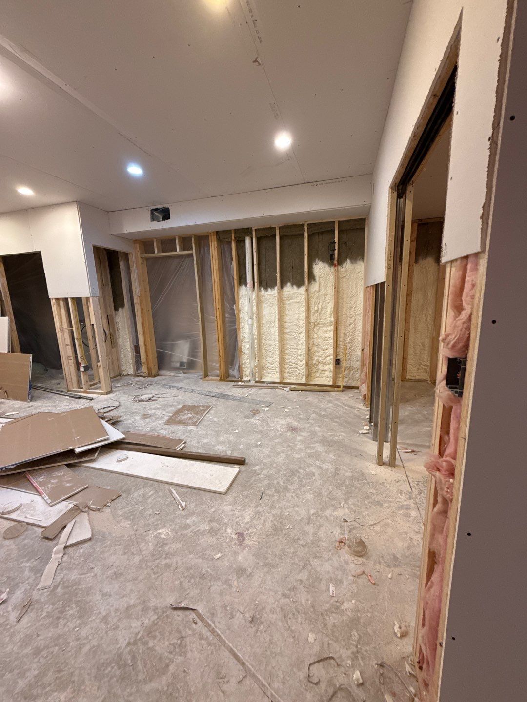 Basement Finishing Project with Home Gym and Sauna in Prospect by Authentic Carpentry