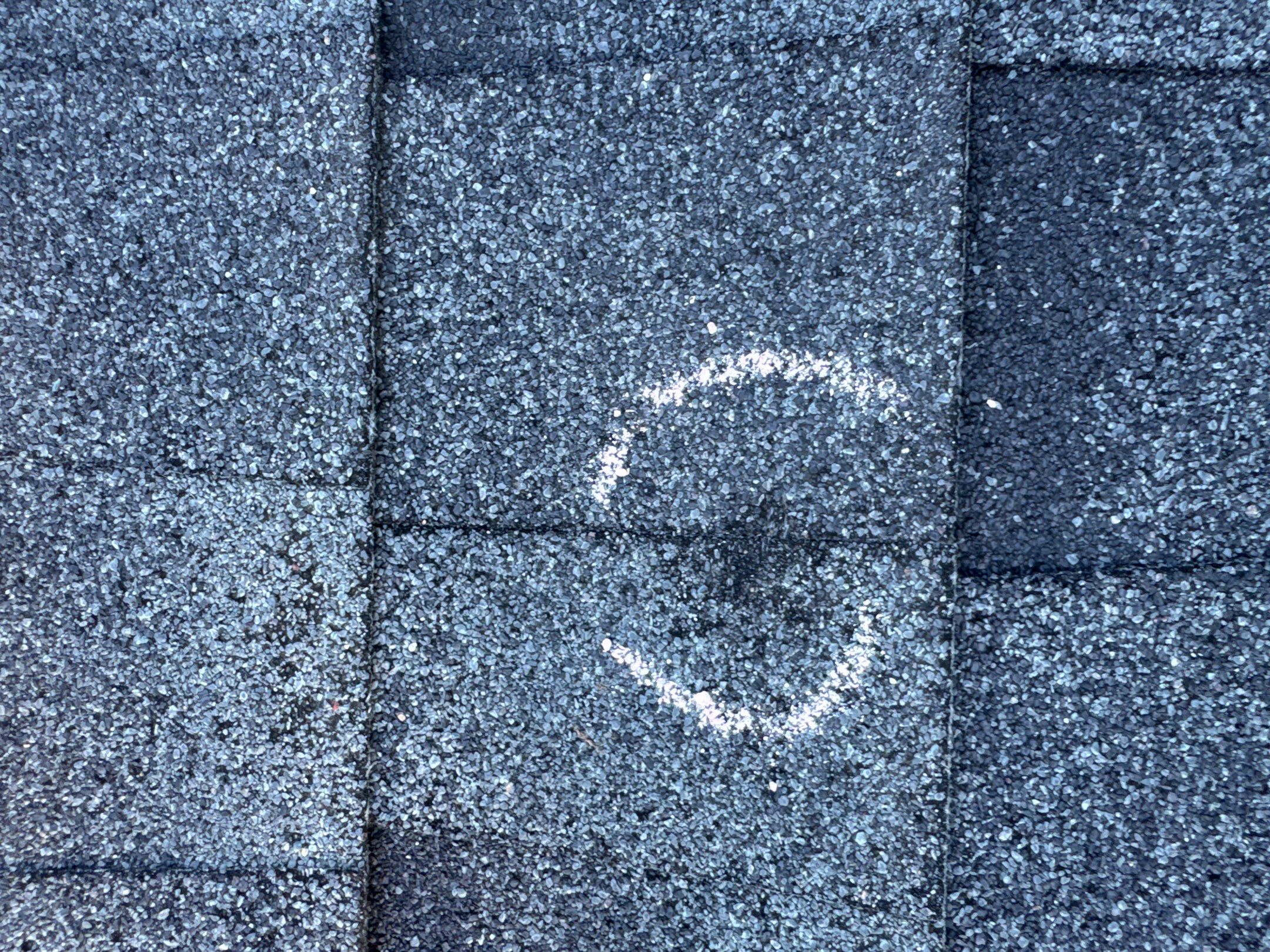 Chyleen Feagin by Tru-Built Roofing