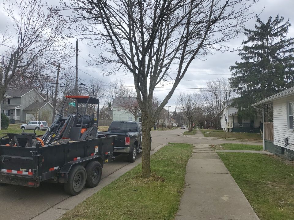 Tree Removal using Tree Removal by Mike Jones & Sons Tree Service LLC 