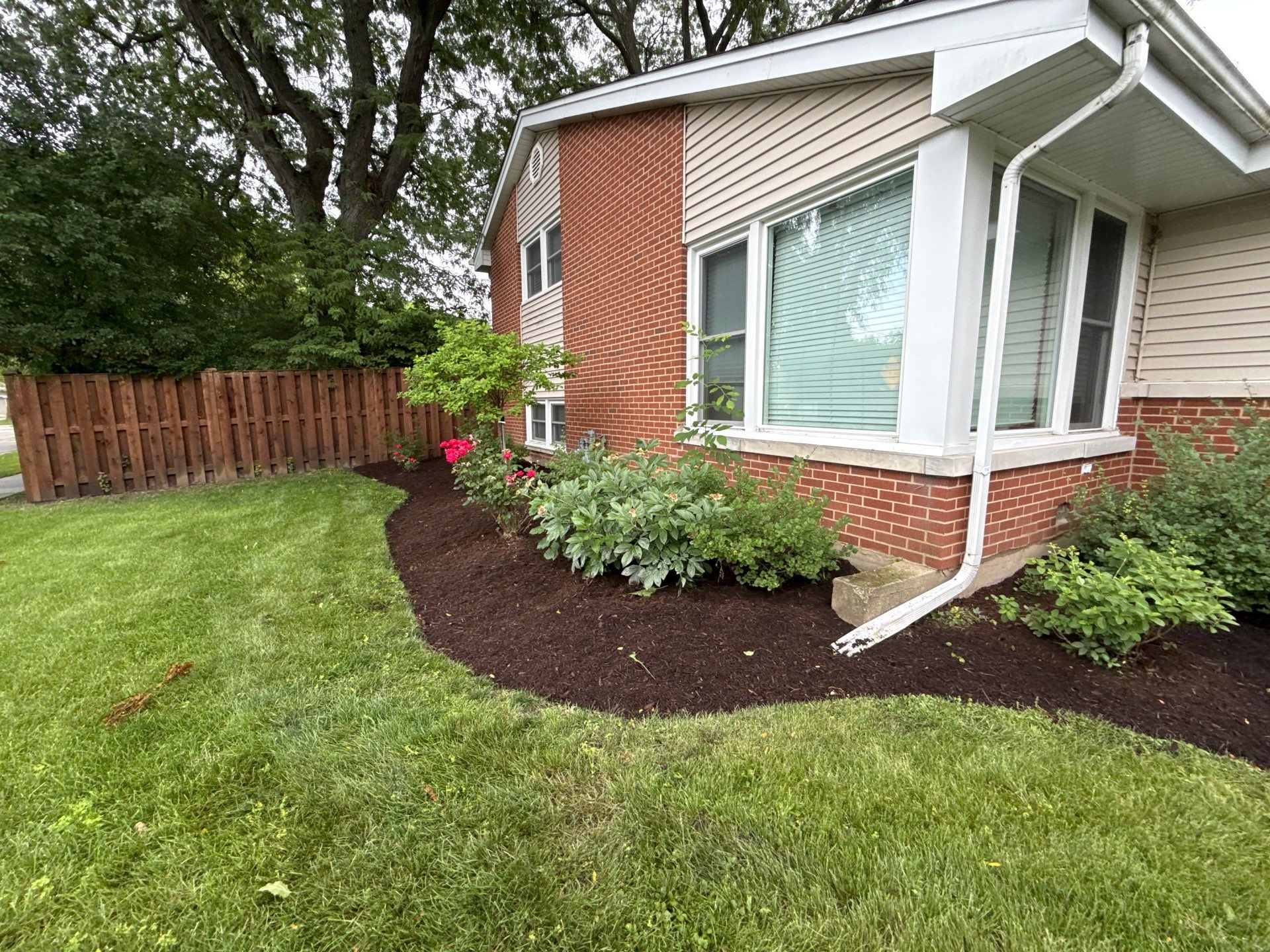 Lauren T. - Arlington Heights, IL by A&N