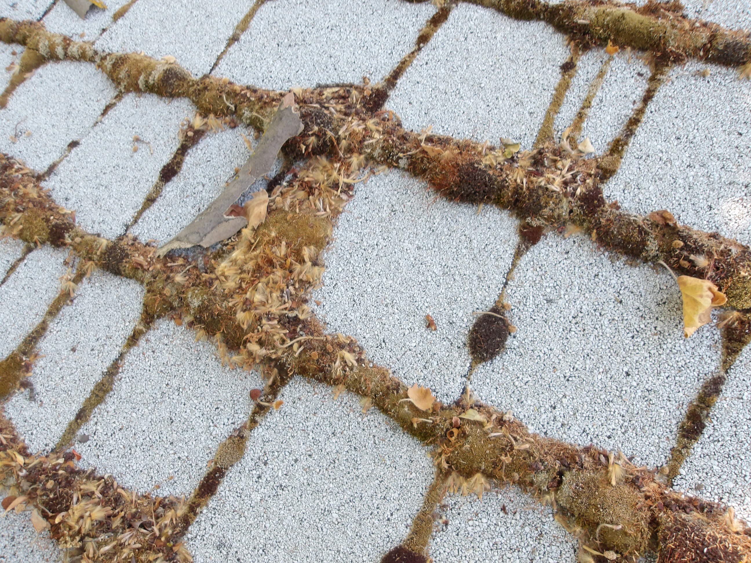 Roof Restore using Pressure Washer by Byers Enterprises 