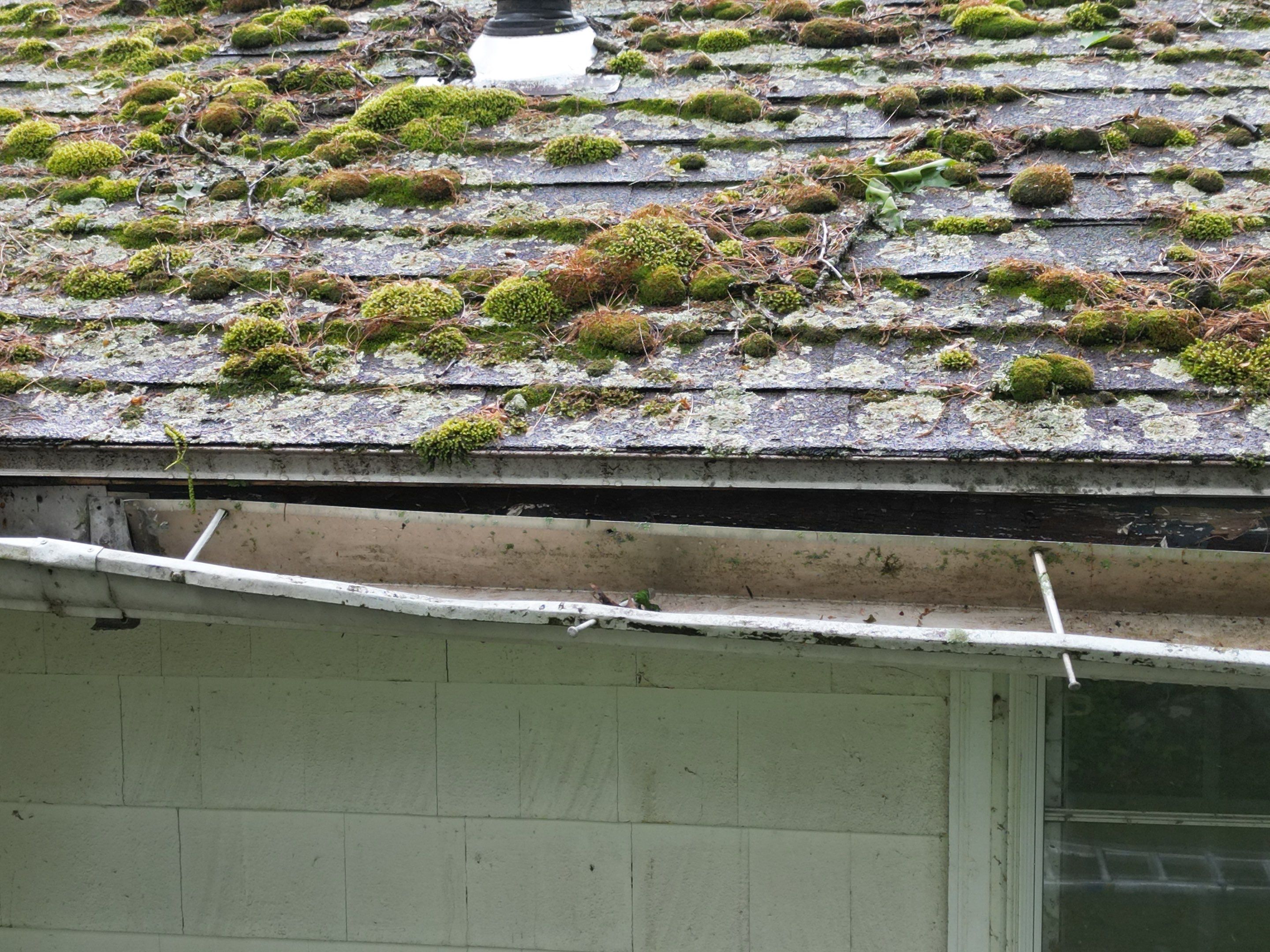 Roof & Exterior Renovation – Chelmsford, MA by Mighty Dog Roofing of Greater Middlesex County