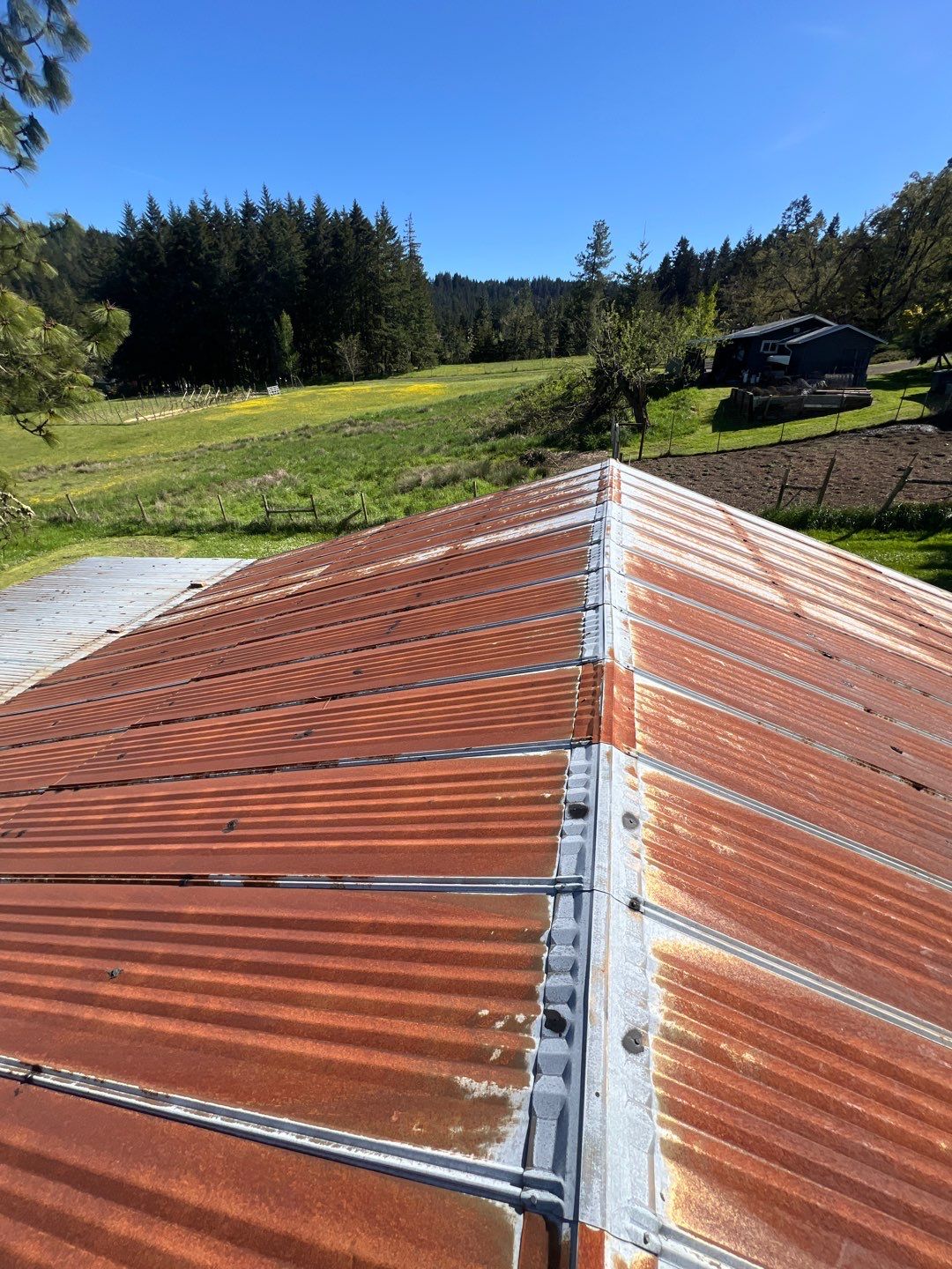 Residential Roofing Installation using IKO Dynasty (Color: Frostone Grey) by Orezona Building & Roofing Company, Inc.
