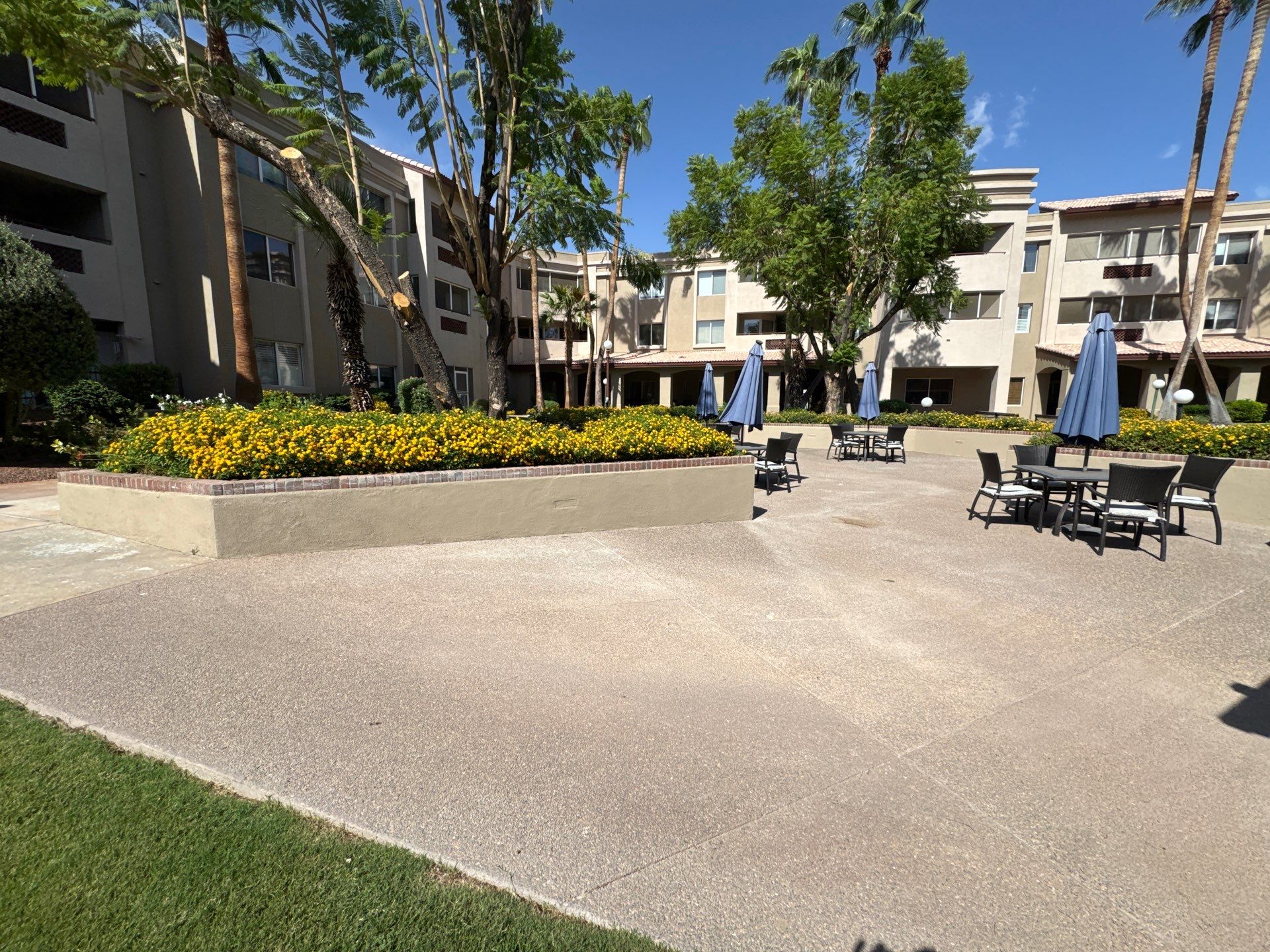 Project in Sun City by Crush Development Services LLC