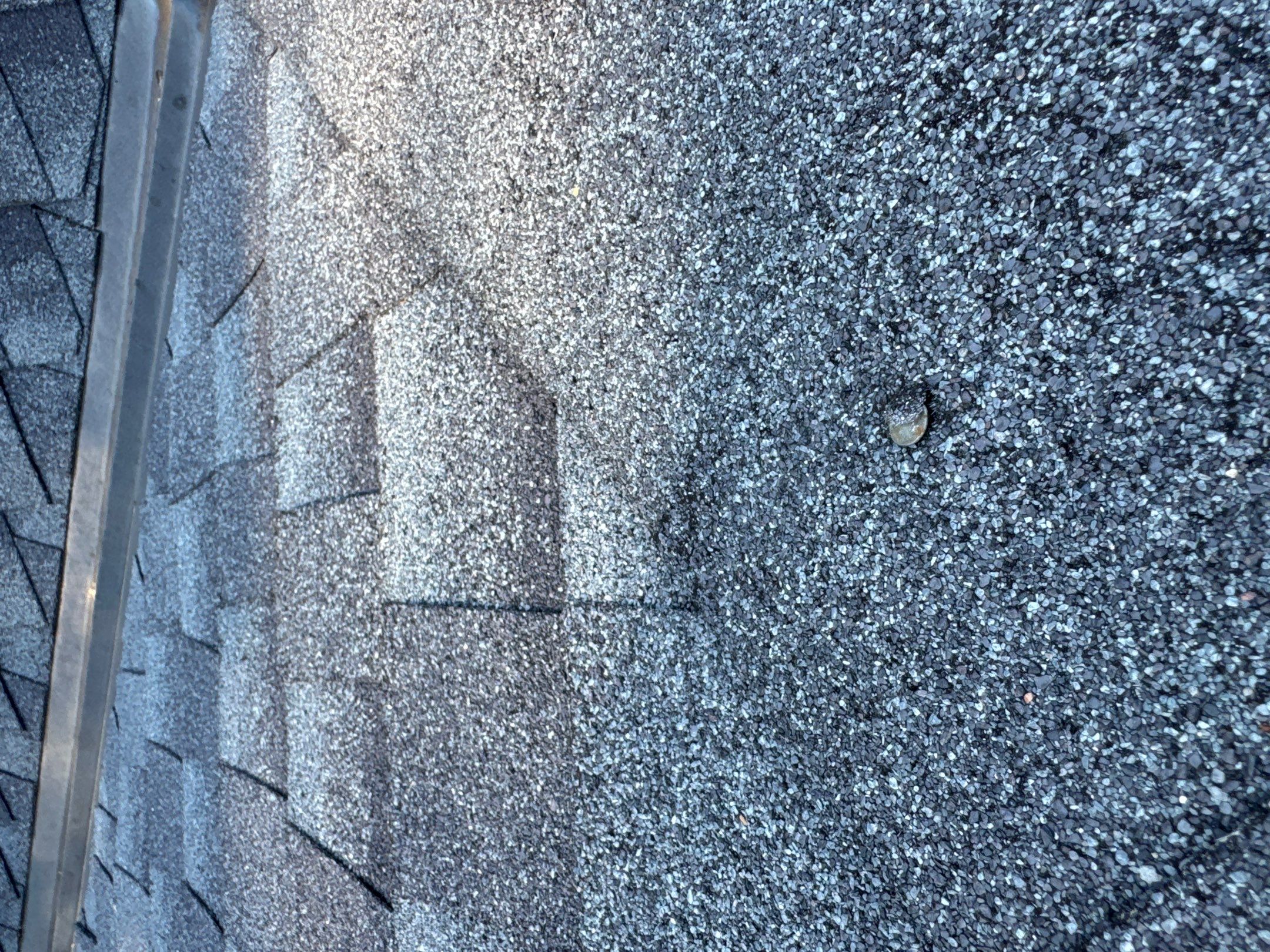 Chyleen Feagin by Tru-Built Roofing