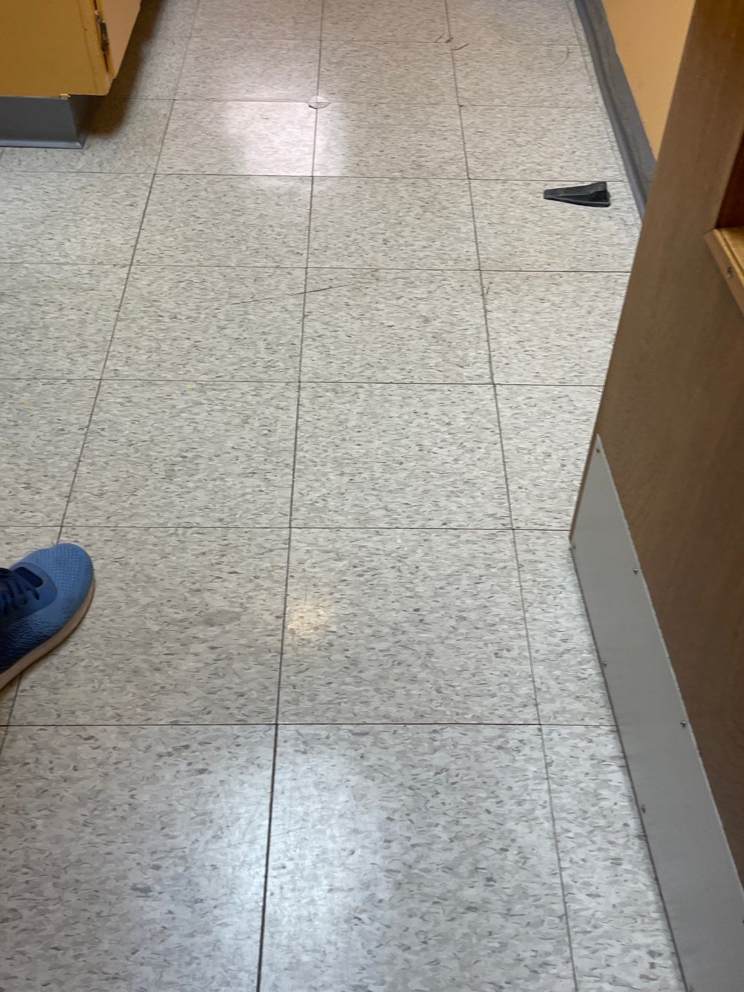 Cat Hospital Project in Pittsburgh by Floors in a Day, Inc