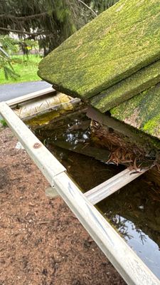 Turtle Shell gutter protection installation in St. Charles, IL 60174, photograph 15