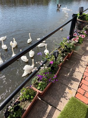 Riverside Patio and Drive Clean