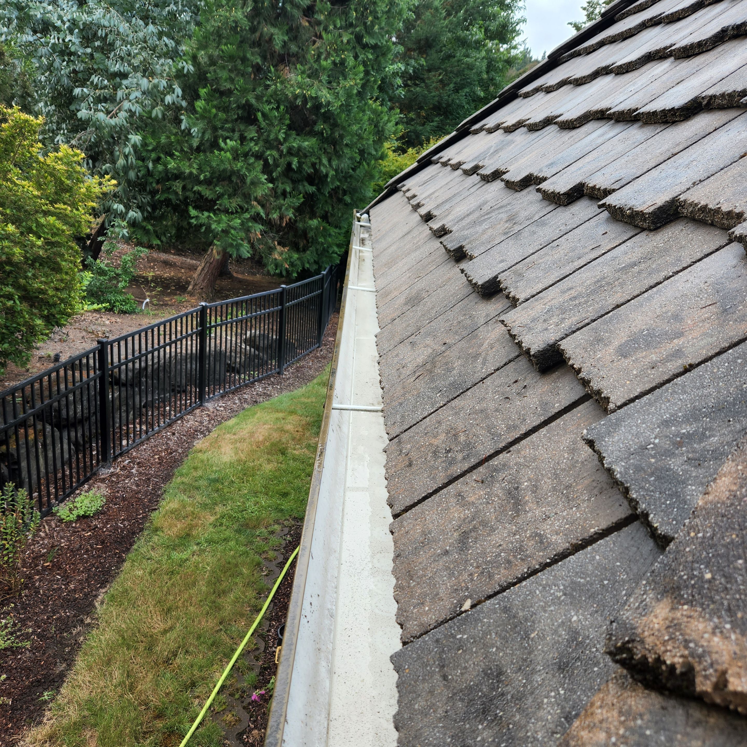 Moss Removal/ Treatment using Biocide by Willamette Outdoor Wash LLC
