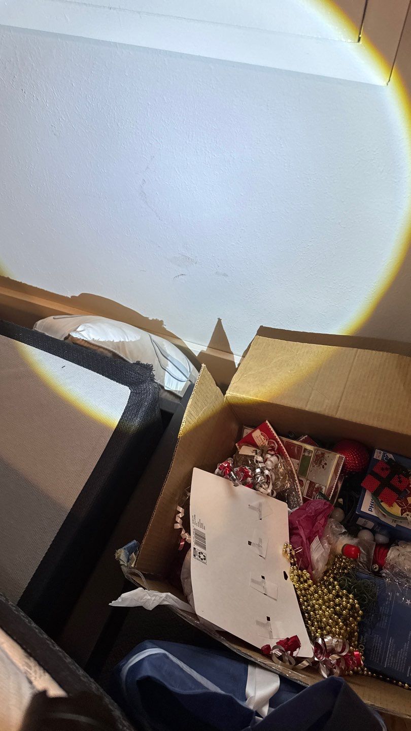Mold Project in Englewood by Accountable Home Services