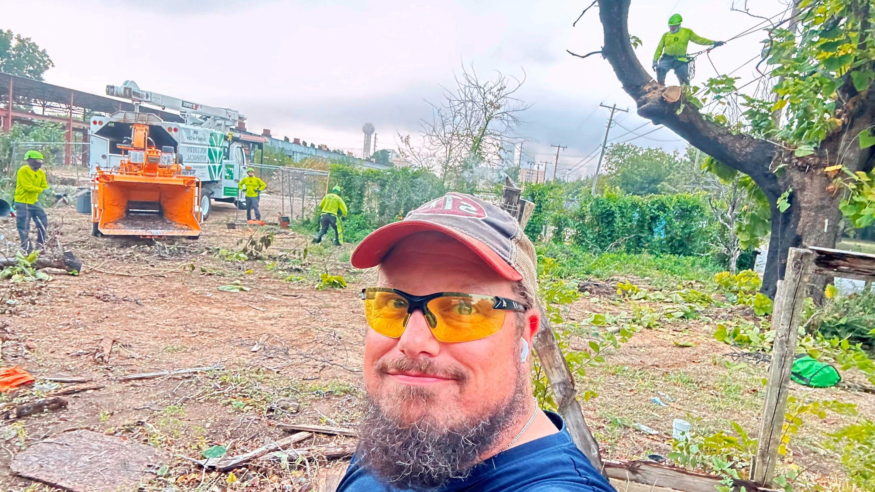 City Tree Company  by Rockwall Honey Bee Company