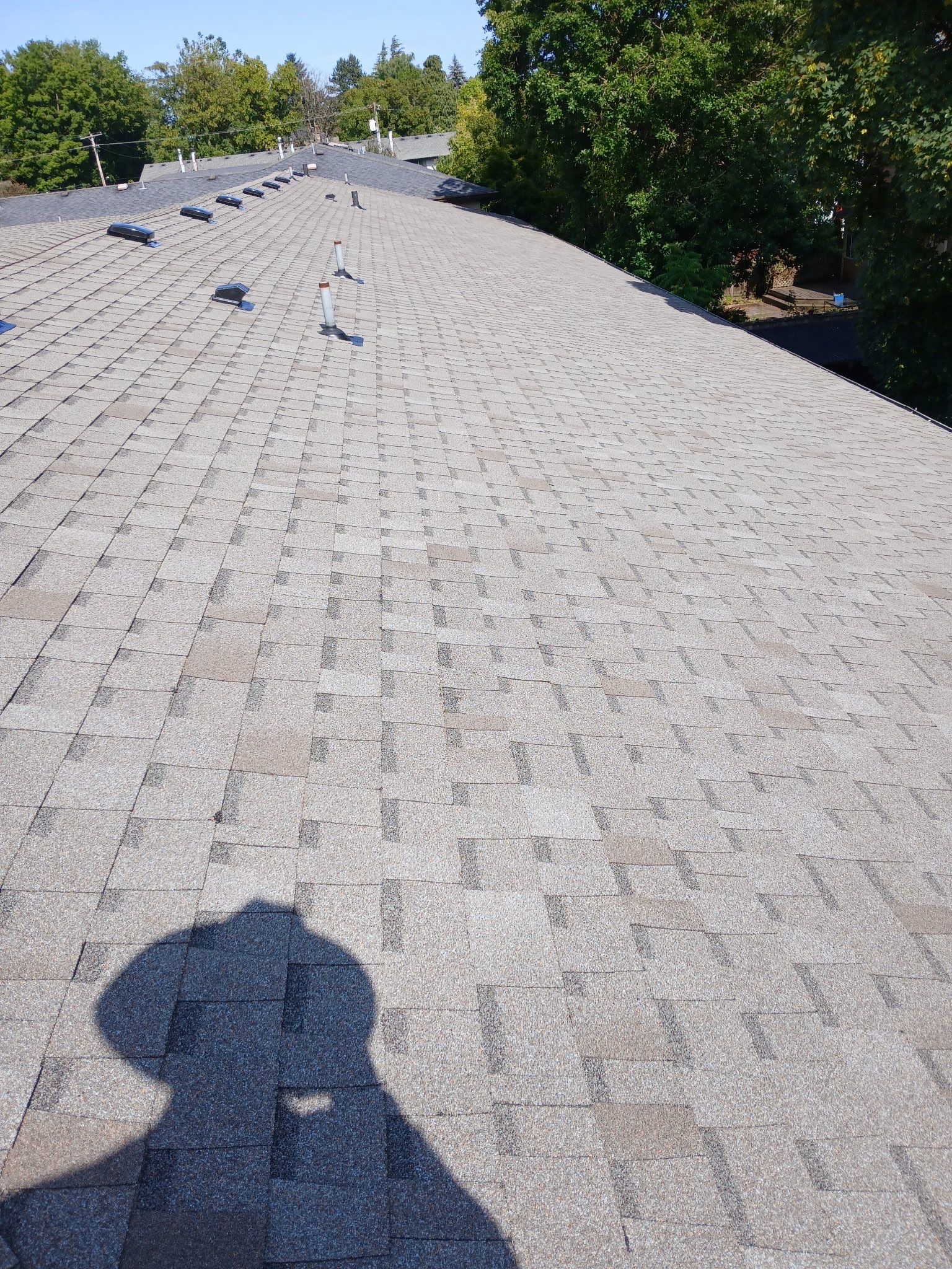 Commercial Roofing Installation using Asphalt Shingles by Vitan Construction LLC 
