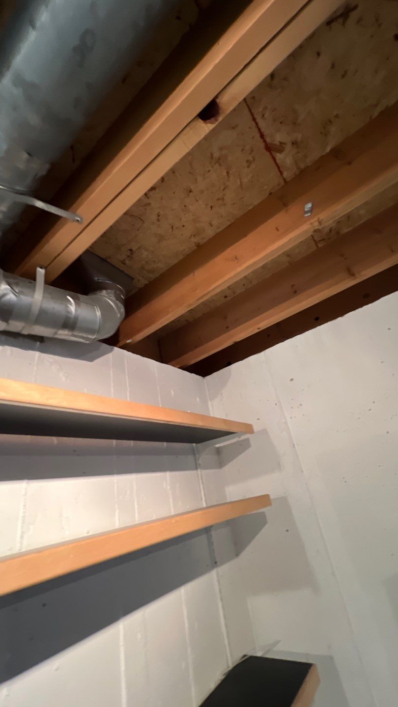 Mold Damage by Accountable Home Services