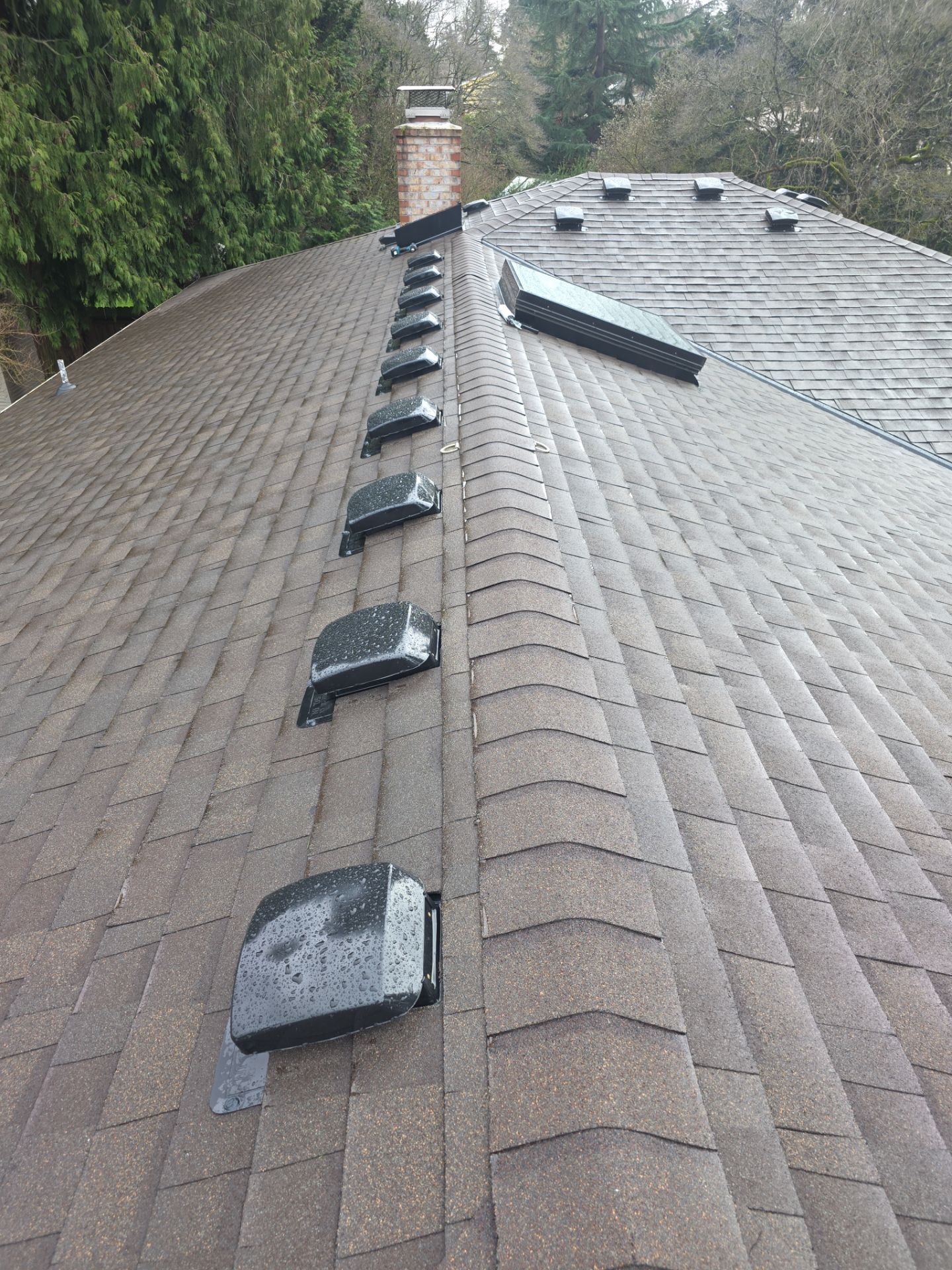 Teak | Roof Replacement in Milwaukie, OR 97222 by Valiant Roofing, LLC