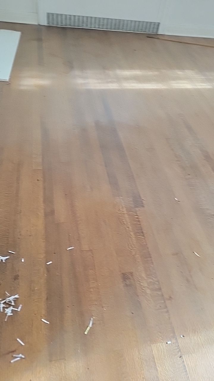 Mold Remediation by Accountable Home Services