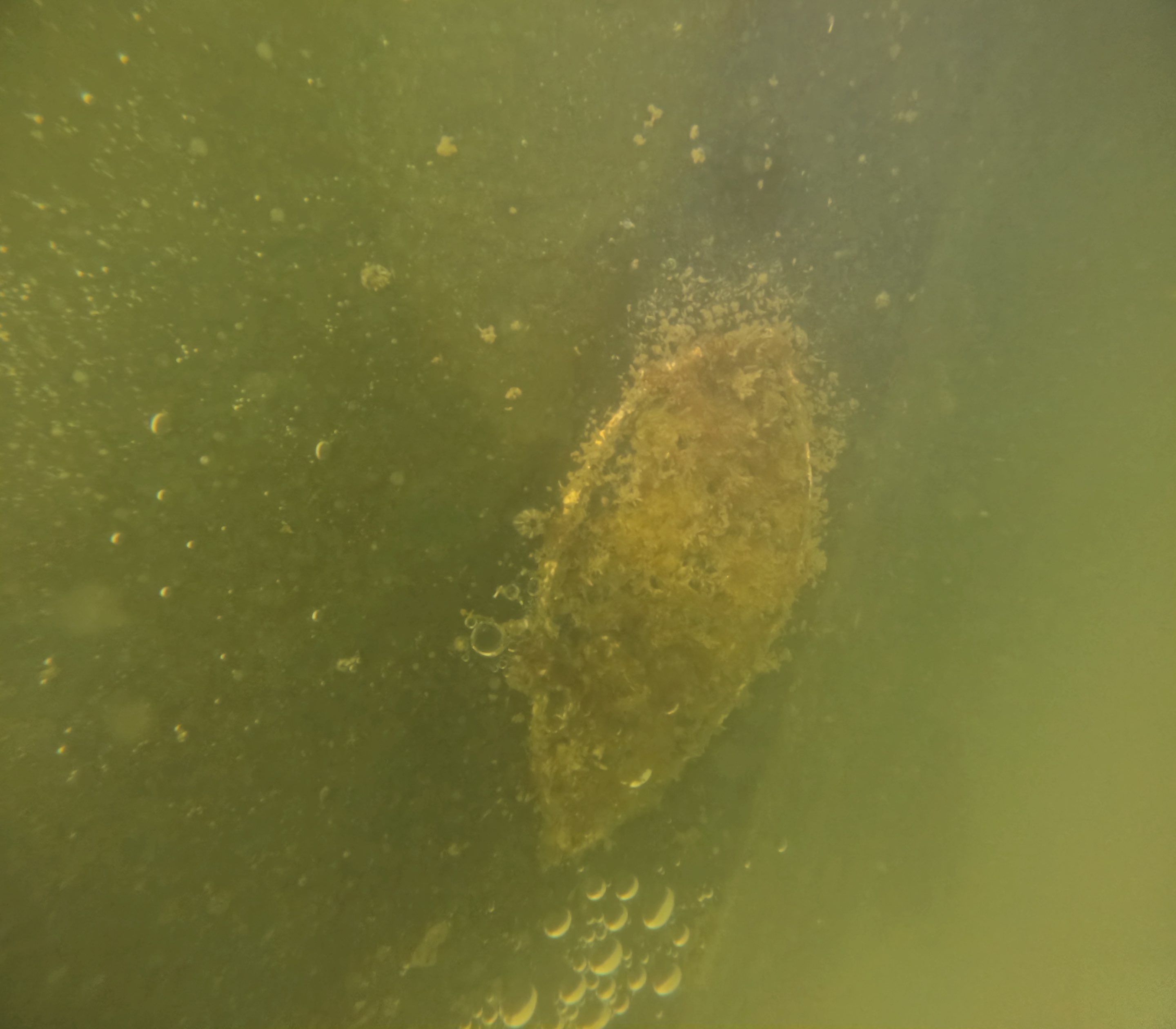 Project in Marco island, FL by Florida Hull Cleaning 