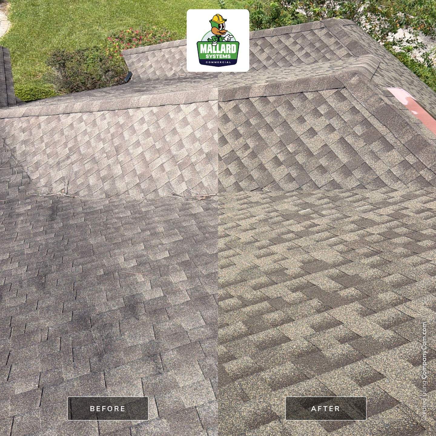 Roof Cleaning and Exterior Soft Wash in MetroWest by Mallard Systems