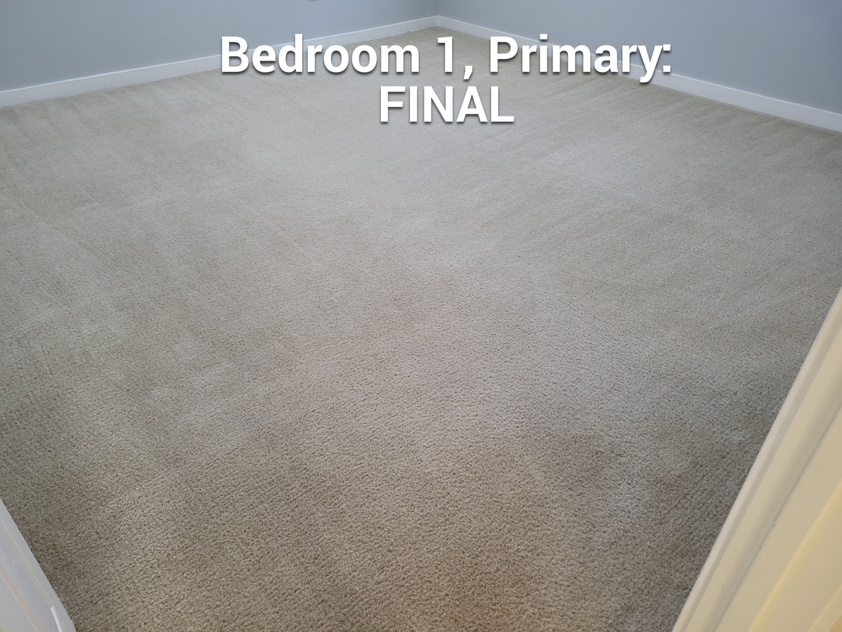 Carpet Cleaning & Stain Removal by Ardent Carpet Restore LLC