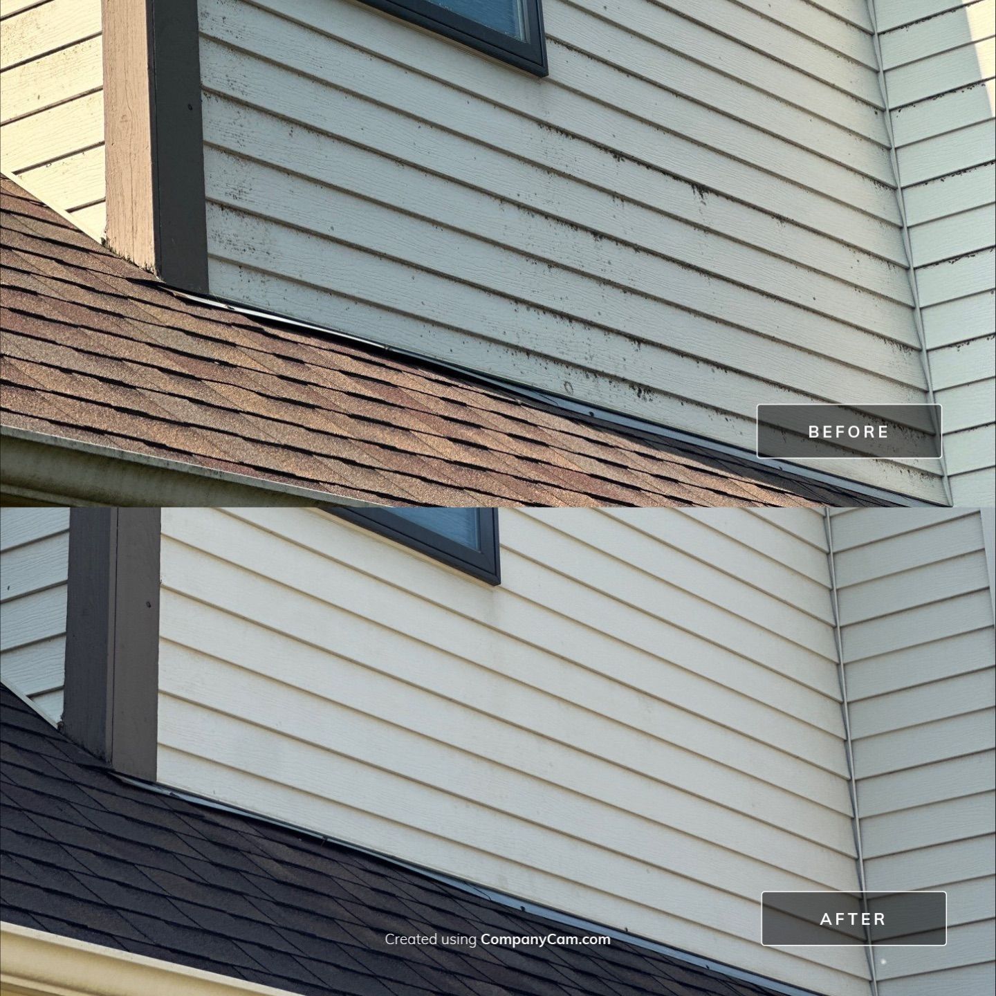 Project in Antioch by Simmons Power & Soft Washing