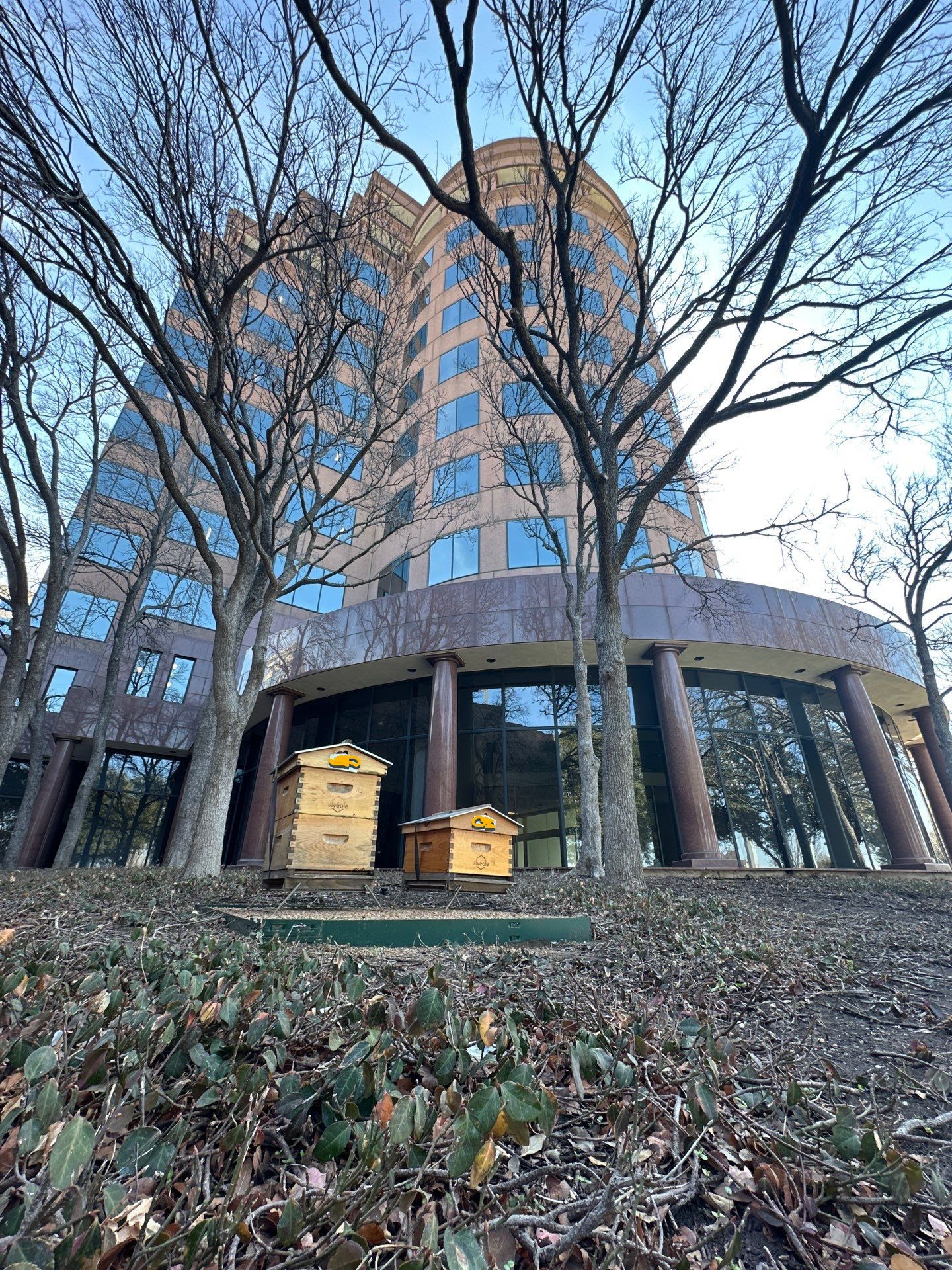 Rockwall Honey Bee Company featured photo.